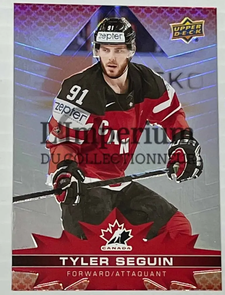 Team Canada: Celebrating Achievements and Upcoming Challenges