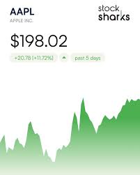 apple-stock-11.jpeg
