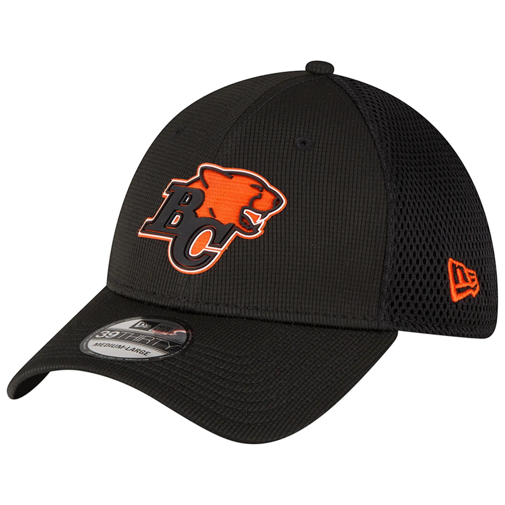 A Look at the BC Lions: 2023 Season Overview and Future Outlook