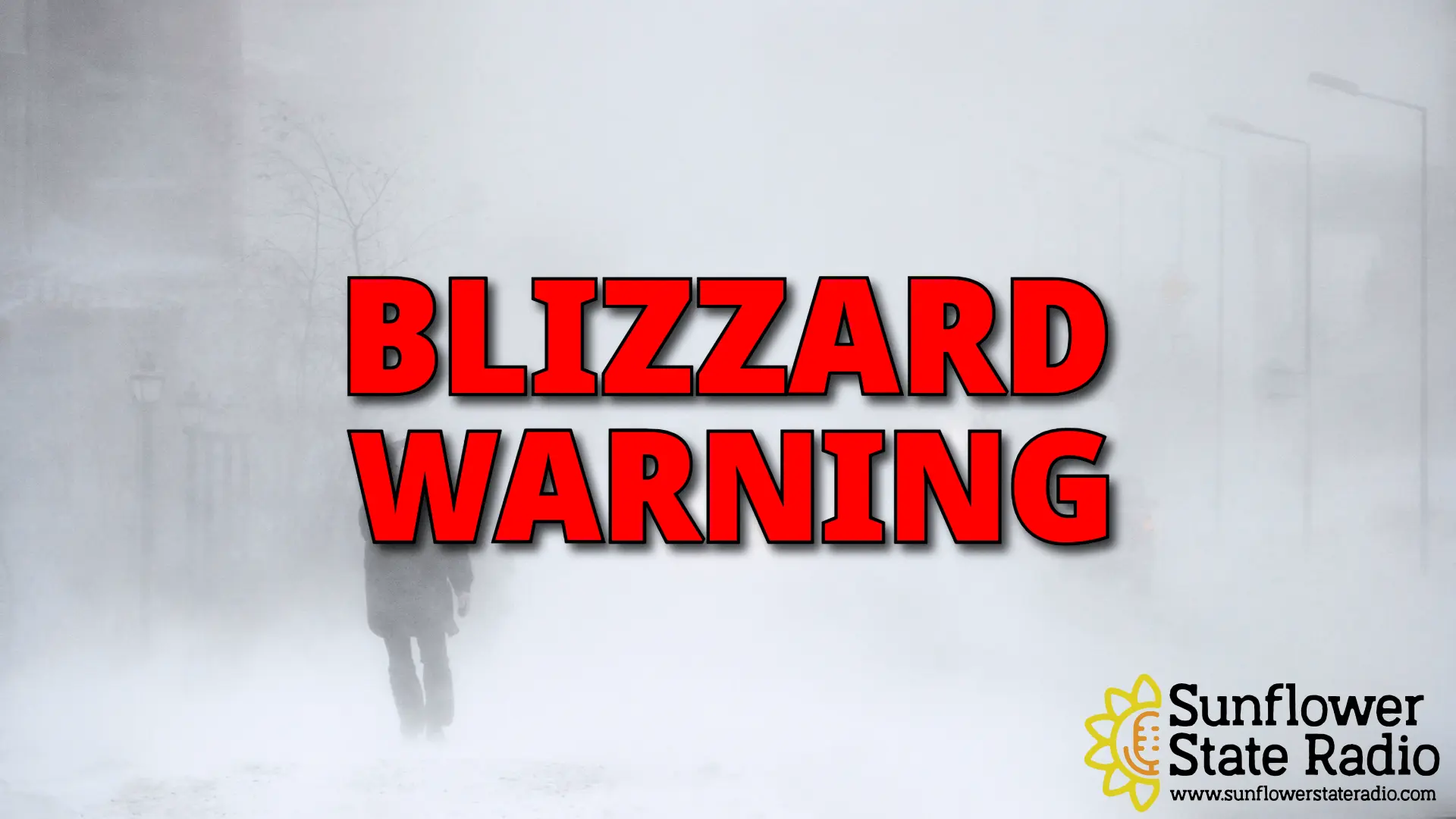 Blizzard Warnings: What You Need to Know