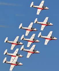 canadian-snowbirds-6.jpeg