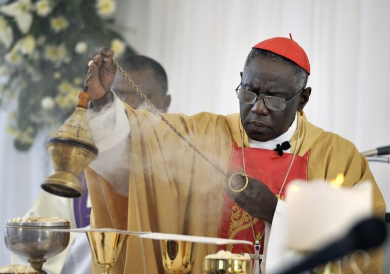 cardinal-sarah-141.jpeg