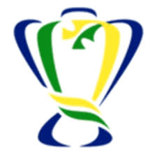 copa-do-brasil-137.jpeg