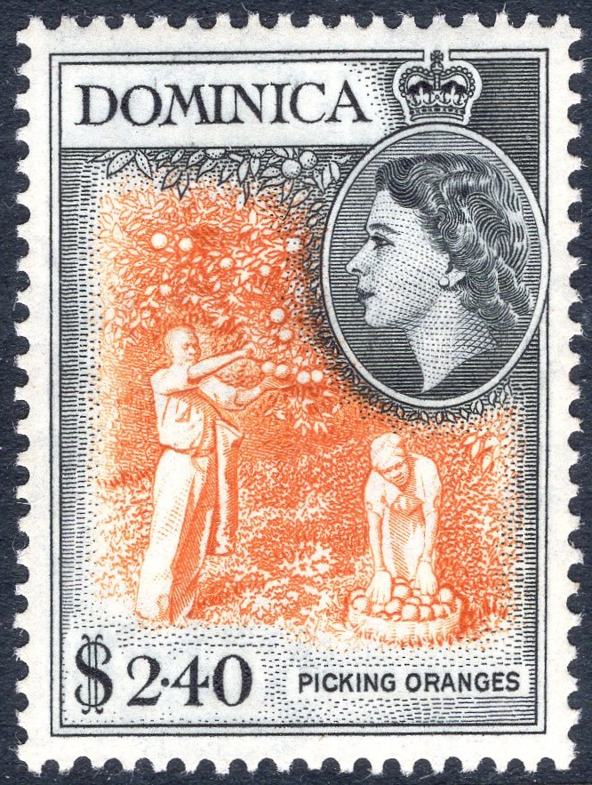 dominica-158.jpeg