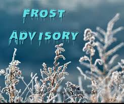 frost-advisory-30.jpeg