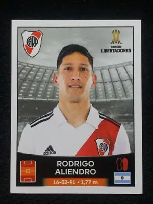 libertadores-234.jpeg