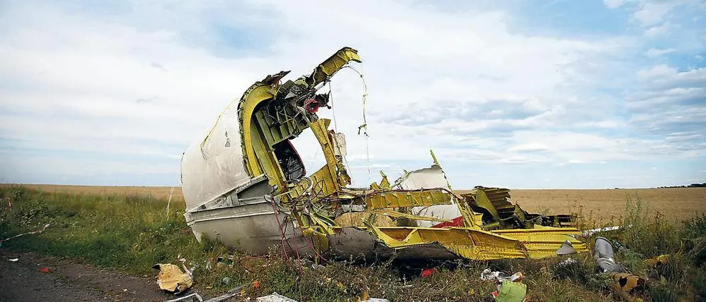 The MH17 Tragedy: Causes, Investigations, and Consequences
