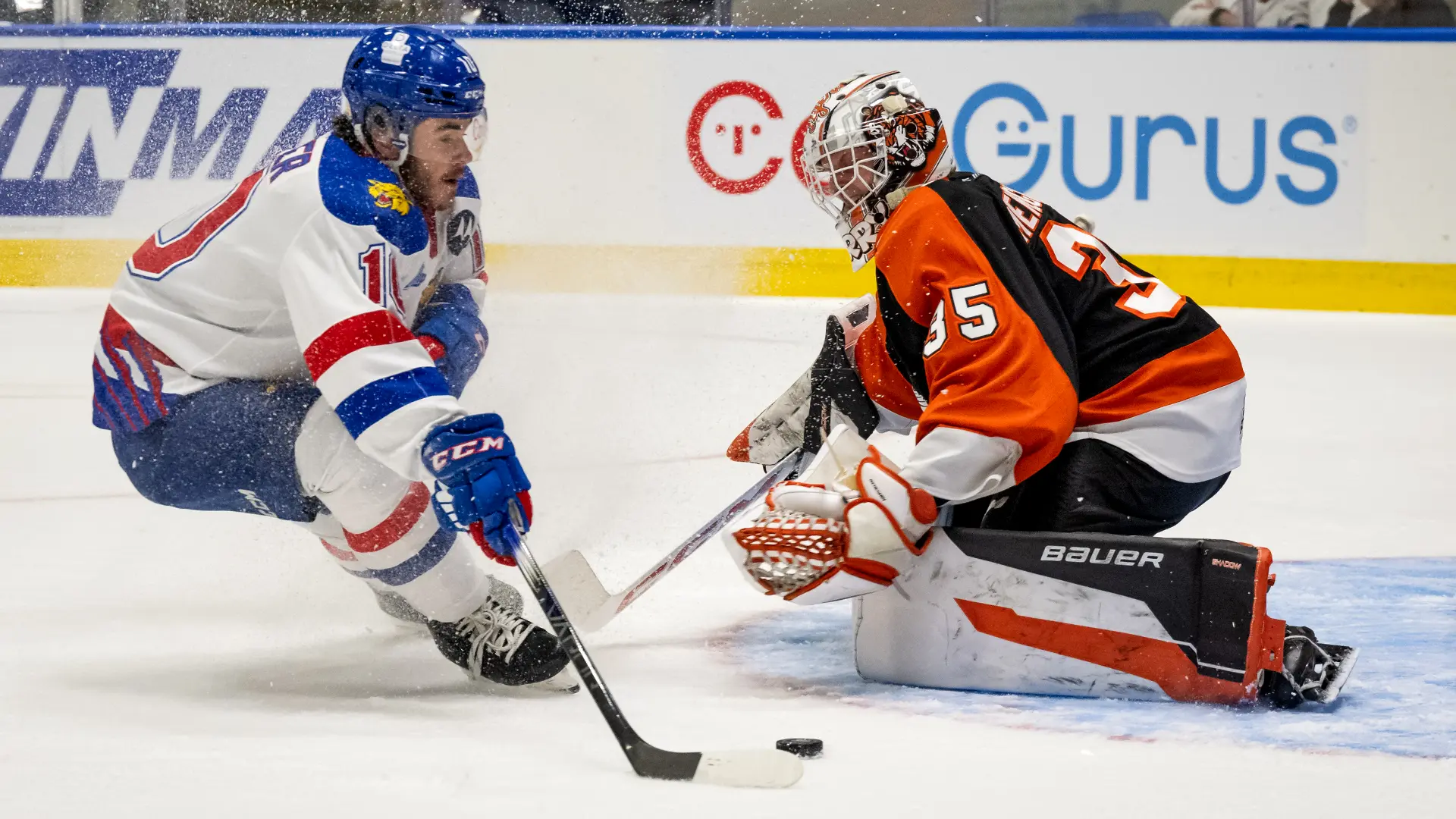 The Moncton Wildcats: A Cornerstone of Junior Hockey in Canada