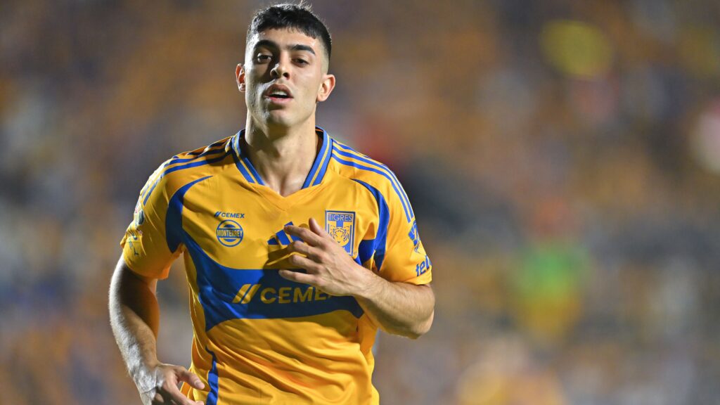 necaxa-tigres-150.jpeg