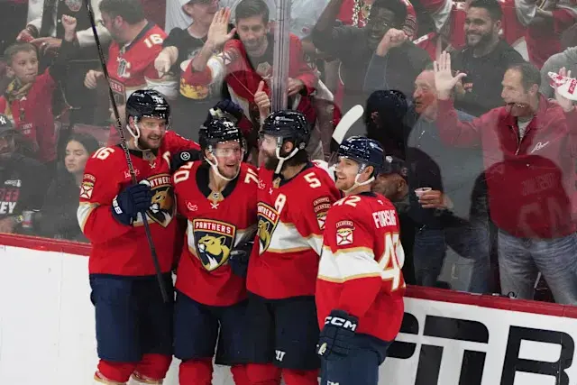 panthers-de-la-floride-185.jpeg