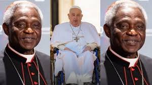 peter-turkson-246.jpeg