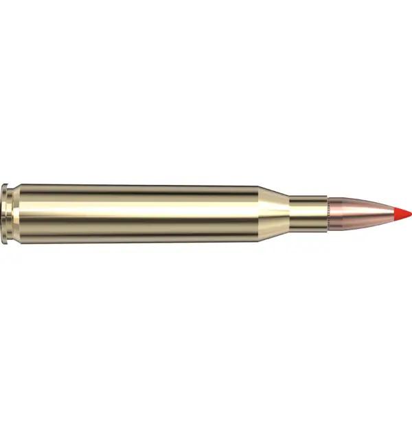 rem-117.jpg