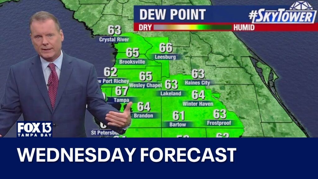tampa-weather-237.jpeg