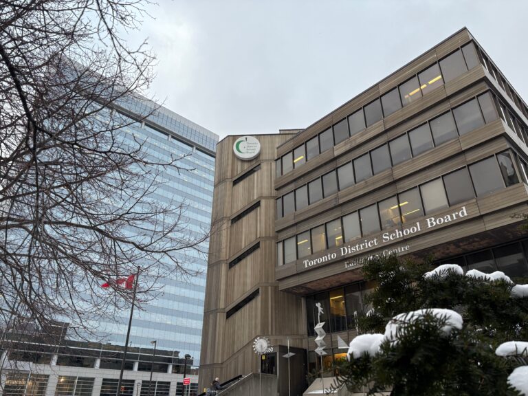tdsb-252.jpeg