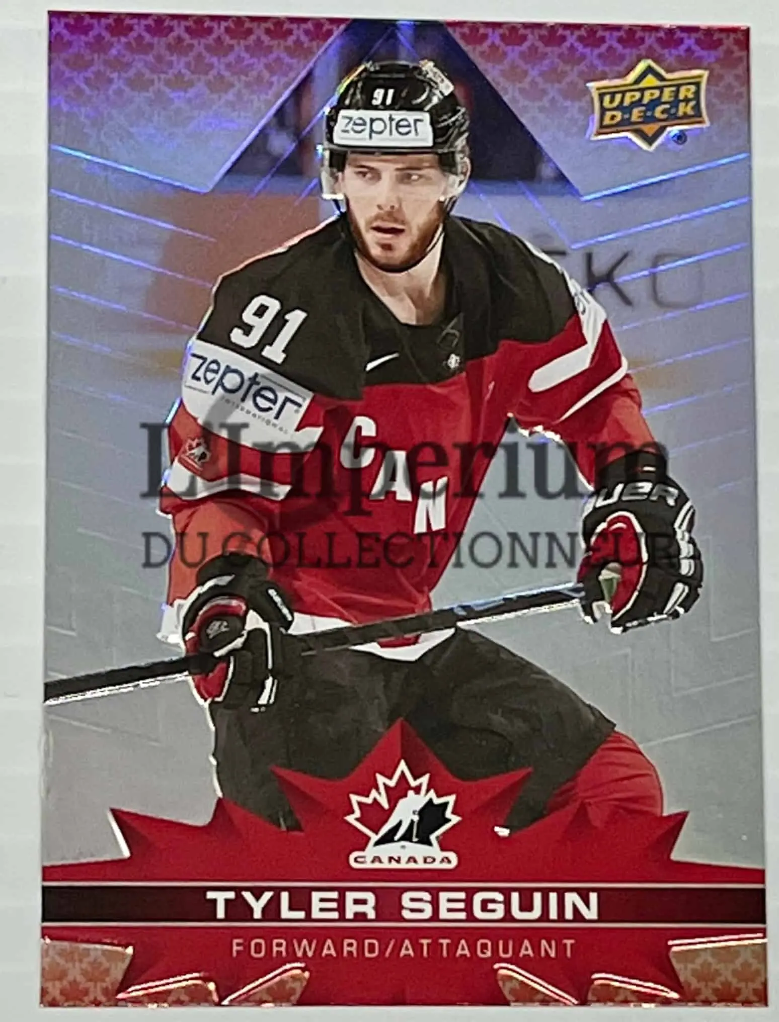 Team Canada: Celebrating Achievements and Upcoming Challenges