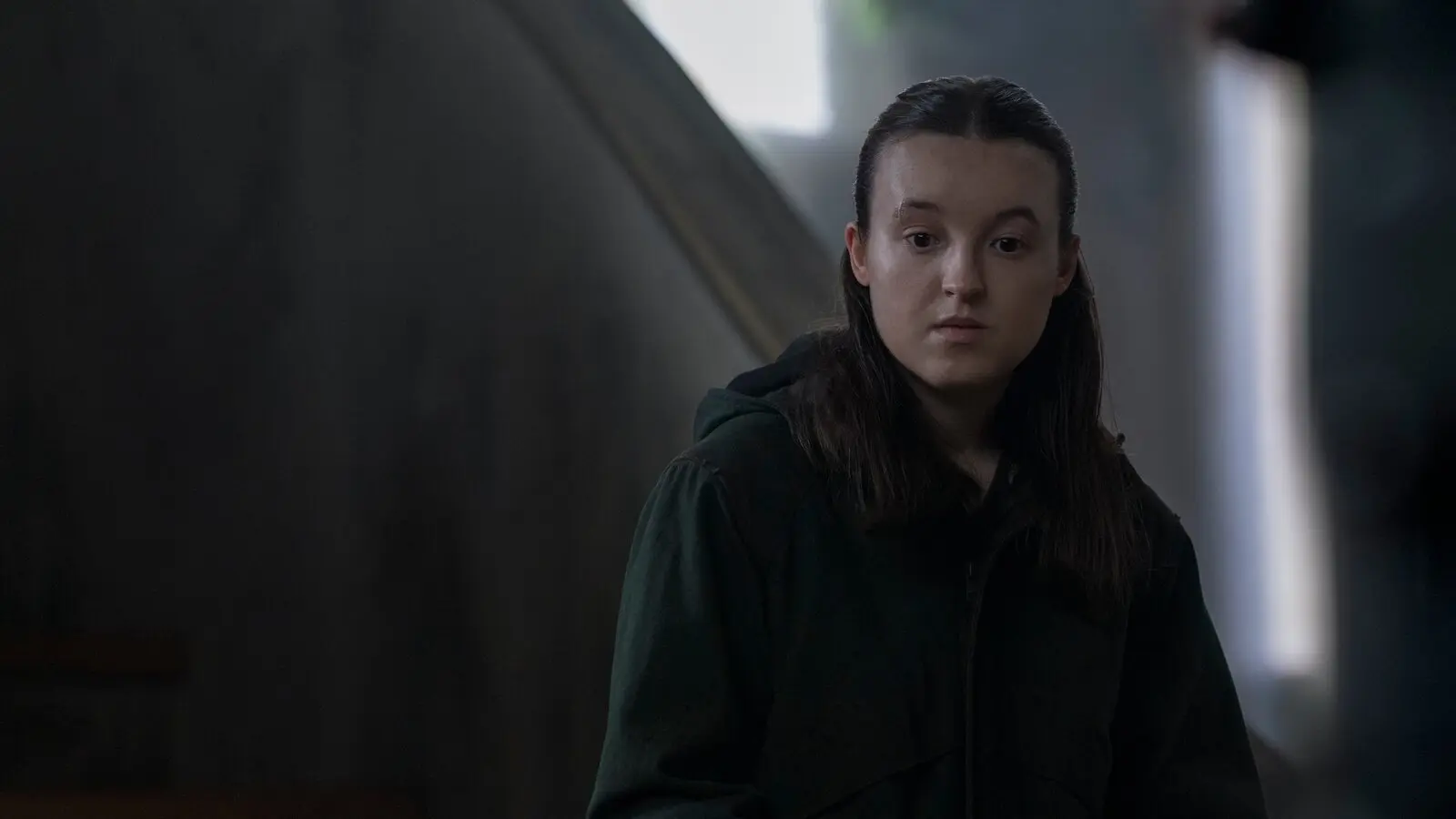 Recap of The Last of Us Season 2 Finale image 1
