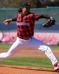 vancouver-canadians-242.jpeg