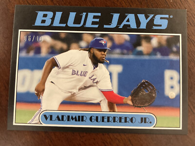 vladimir-guerrero-jr-67.jpeg