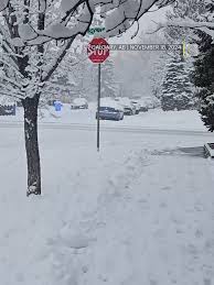 weather-calgary-208.jpeg