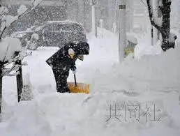 2023年加拿大天氣更新：極端氣候的影響