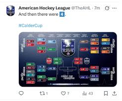 ahl-playoffs-89.jpeg