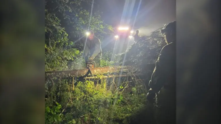 Recent Storm Damage in Algonquin Park: Updates and Recovery
