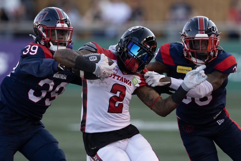 alouettes-13.jpeg