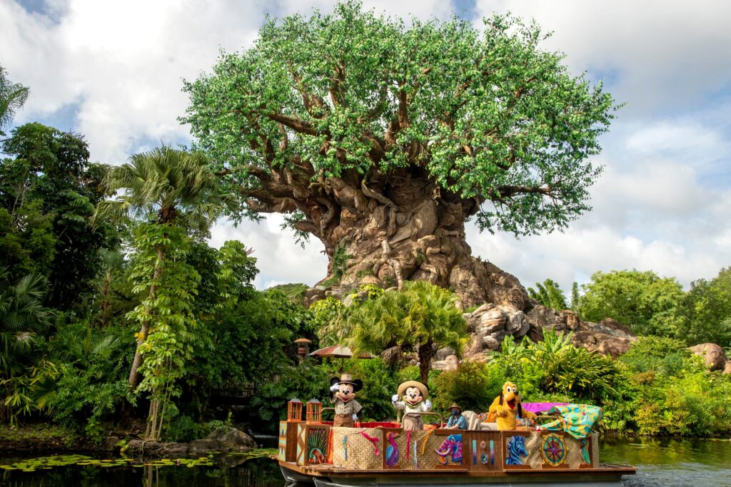 animal-kingdom-215.jpeg