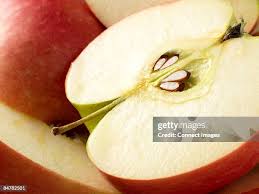 apple-stock-277.jpeg