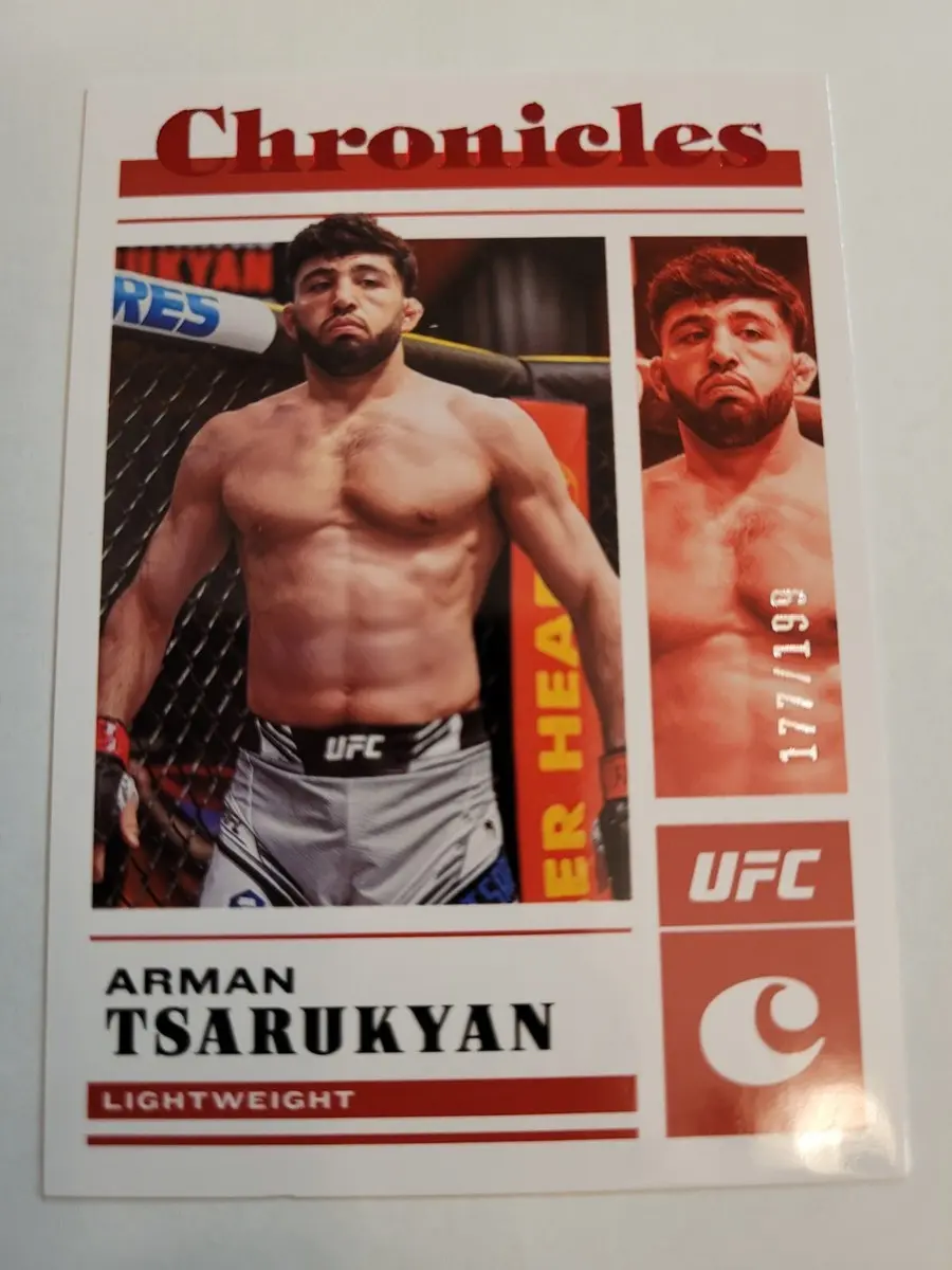 The Rise of Arman Tsarukyan in MMA image 1