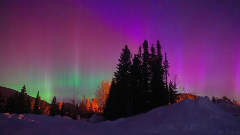 aurores-bor-ales-quebec-23.jpeg