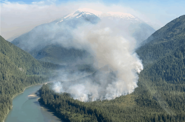 bc-wildfire-113.png