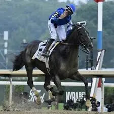 belmont-stakes-32.jpeg