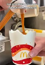 The Delightful Biscoff McFlurry – A Sweet Treat Everyone Loves