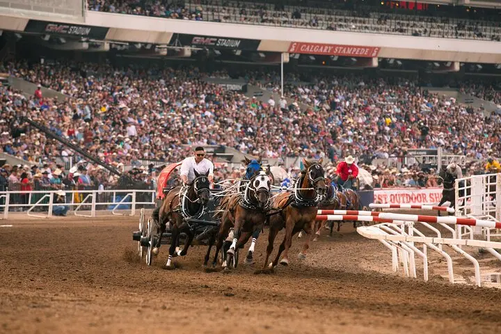 The Excitement of Calgary Stampede 2023 image 1