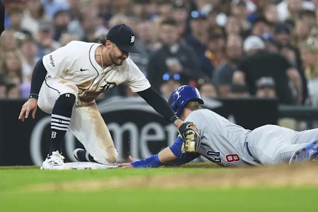 cubs-vs-tigers-166.jpeg
