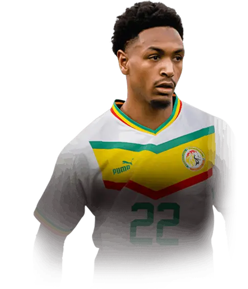 The Rise of Diallo: A Soccer Sensation