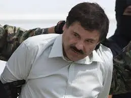 El Chapo: The Rise and Fall of a Notorious Drug Lord