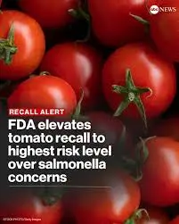 fda-tomato-recall-salmonella-2.jpeg