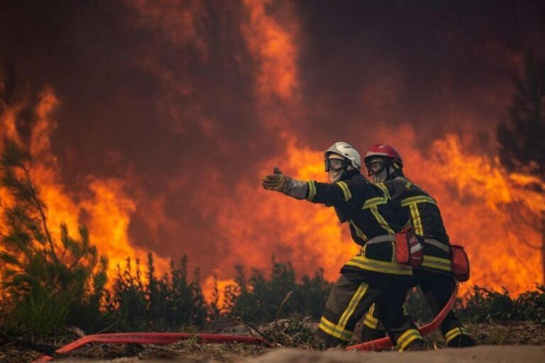 feu-de-foret-33.jpeg