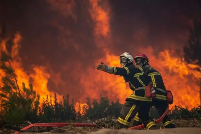 feu-de-foret-33.jpeg