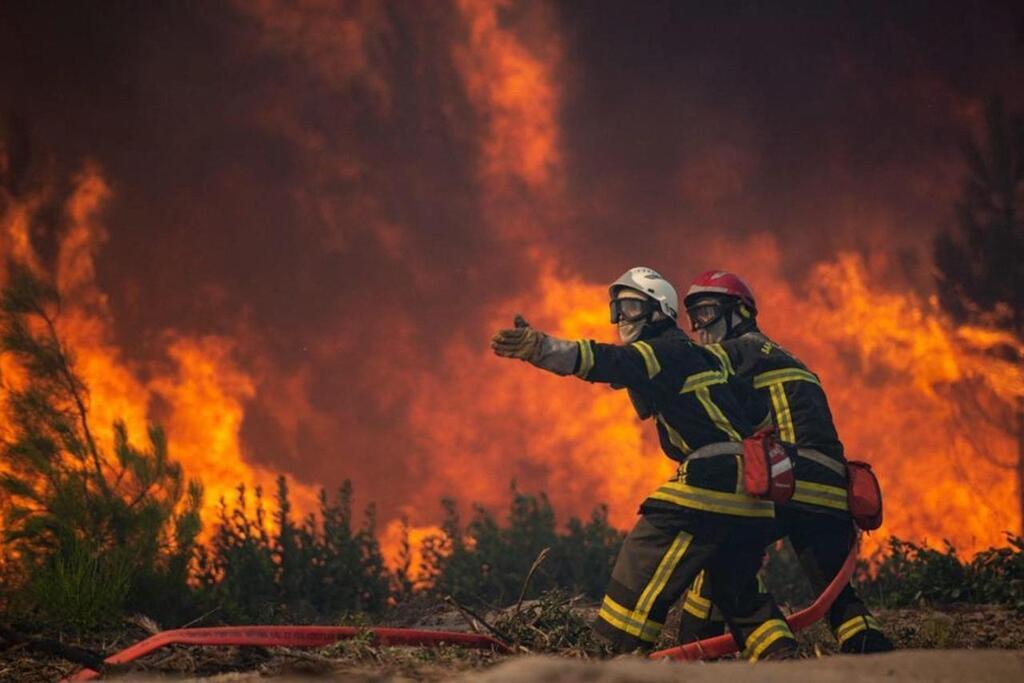 feu-de-foret-33.jpeg