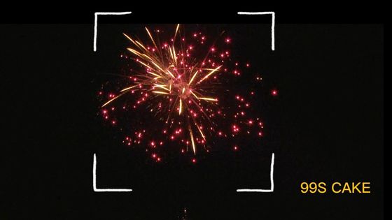 feux-d-artifice-99.jpeg