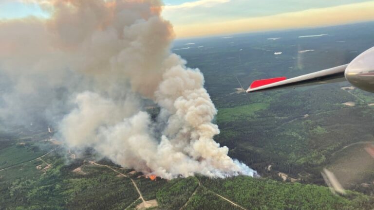 forest-fires-ontario-115.jpeg