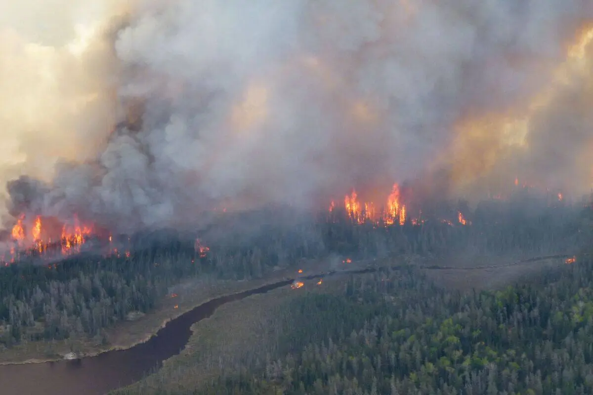 Impact de la fumée des feux de forêt au Québec image 1