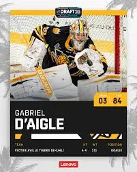 Gabriel D’Aigle: Emerging Leader in Canadian Politics