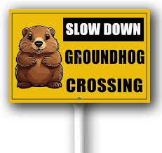 groundhog-30.jpeg