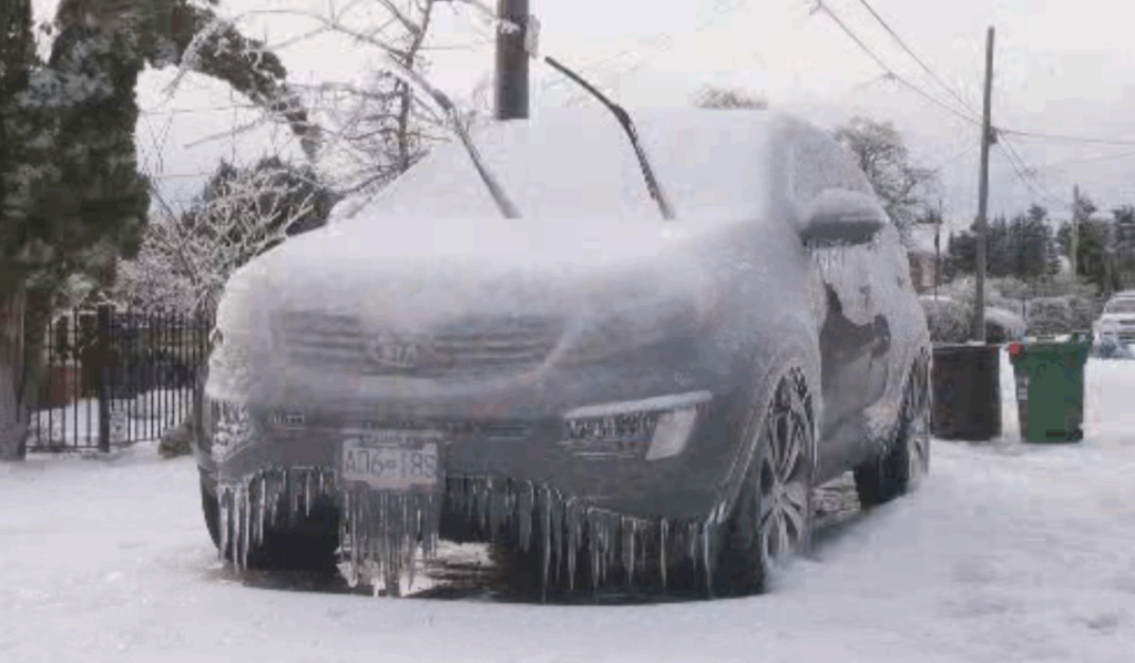 guelph-weather-185.png