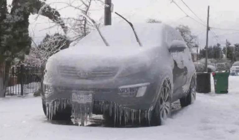 Understanding Guelph Weather: Updates and Forecasts