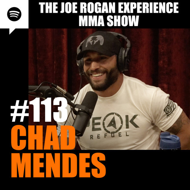 joe-rogan-113.jpeg
